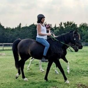 Meet your Posher, Alison